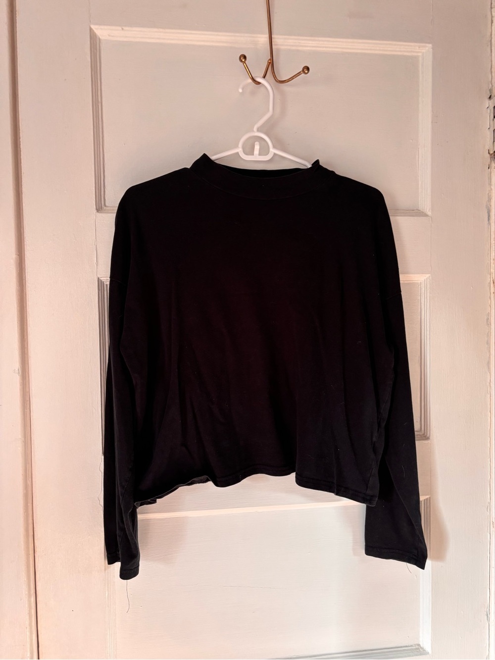 Everlane Cotton Long Sleeve Mock Neck